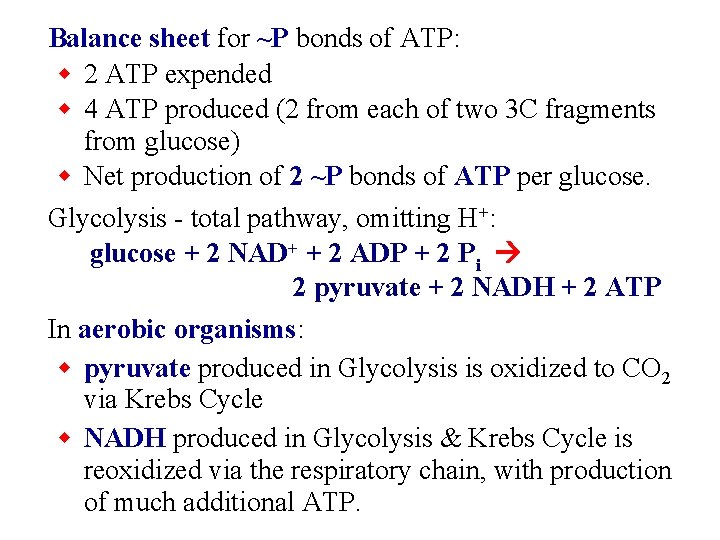 Balance sheet for ~P bonds of ATP: w 2 ATP expended w 4 ATP