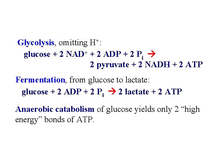  Glycolysis, omitting H+: glucose + 2 NAD+ + 2 ADP + 2 Pi