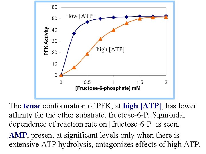 The tense conformation of PFK, at high [ATP], has lower affinity for the other