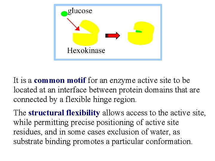 It is a common motif for an enzyme active site to be located at