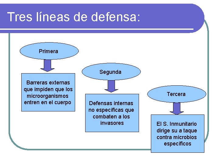 Tres líneas de defensa: Primera Segunda Barreras externas que impiden que los microorganismos entren