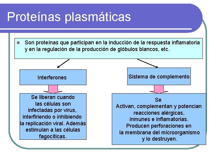 Proteínas plasmáticas l Son proteínas que participan en la inducción de la respuesta inflamatoria