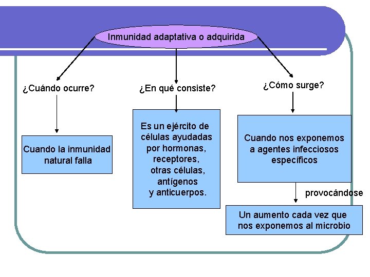Inmunidad adaptativa o adquirida ¿Cuándo ocurre? ¿En qué consiste? Cuando la inmunidad natural falla