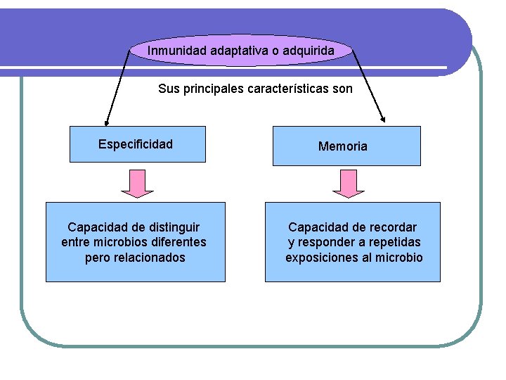 Inmunidad adaptativa o adquirida Sus principales características son Especificidad Capacidad de distinguir entre microbios