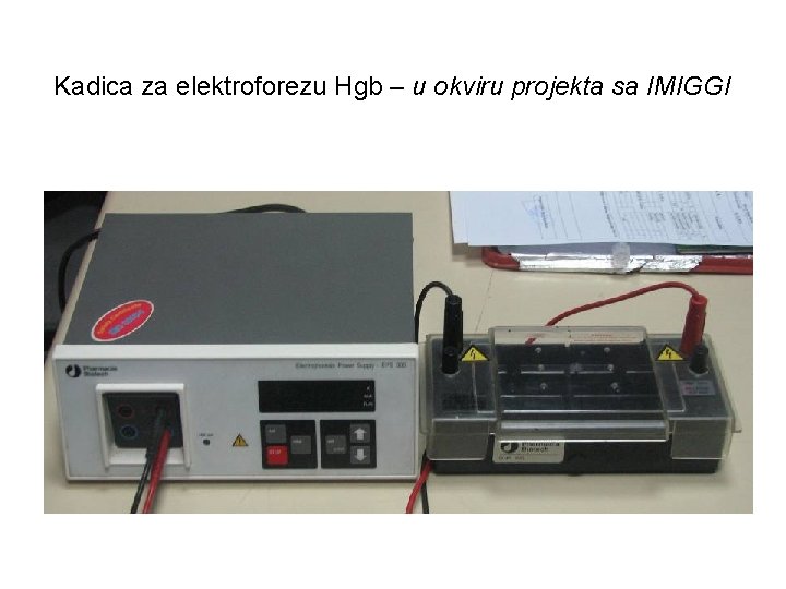 Kadica za elektroforezu Hgb – u okviru projekta sa IMIGGI 