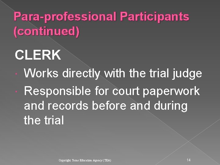 Para-professional Participants (continued) CLERK Works directly with the trial judge Responsible for court paperwork Para-professional Participants (continued) CLERK Works directly with the trial judge Responsible for court paperwork