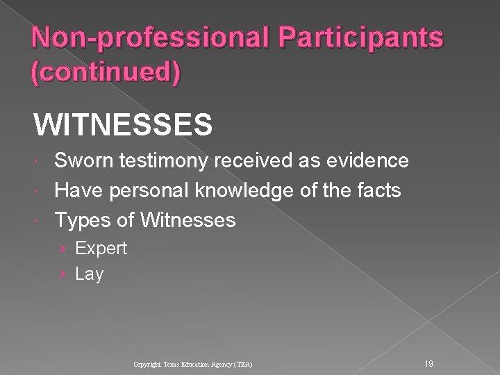 Non-professional Participants (continued) WITNESSES Sworn testimony received as evidence Have personal knowledge of the Non-professional Participants (continued) WITNESSES Sworn testimony received as evidence Have personal knowledge of the