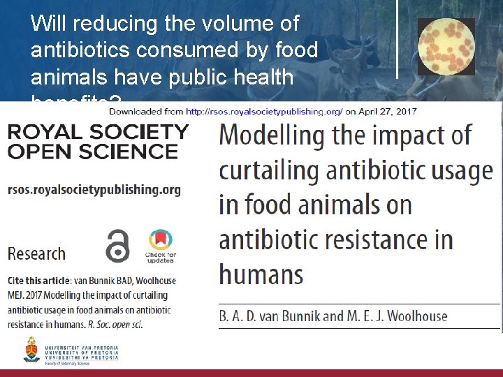 Will reducing the volume of antibiotics consumed by food animals have public health benefits?