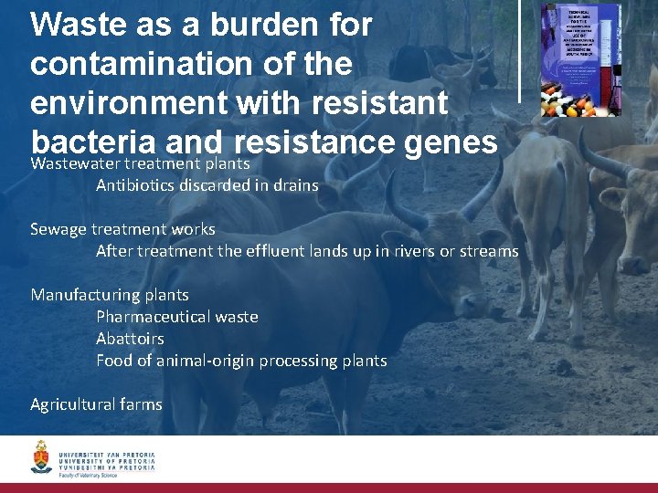 Waste as a burden for contamination of the environment with resistant bacteria and resistance