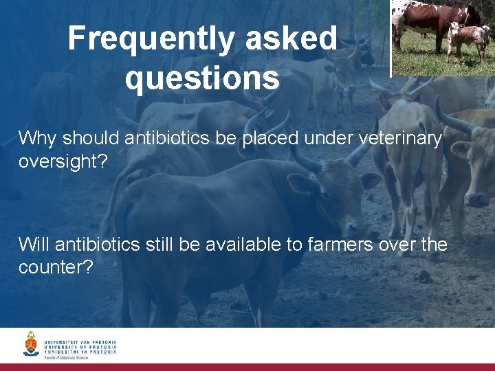 Frequently asked questions Why should antibiotics be placed under veterinary oversight? Will antibiotics still