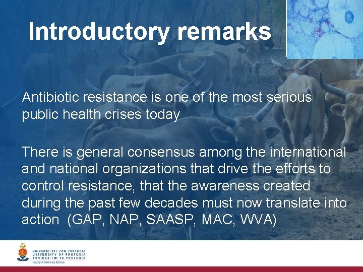 Introductory remarks Antibiotic resistance is one of the most serious public health crises today