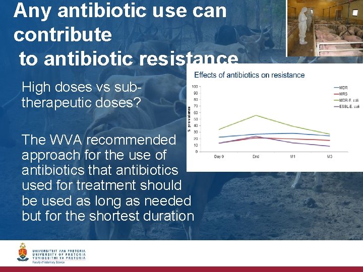 Any antibiotic use can contribute to antibiotic resistance High doses vs subtherapeutic doses? The