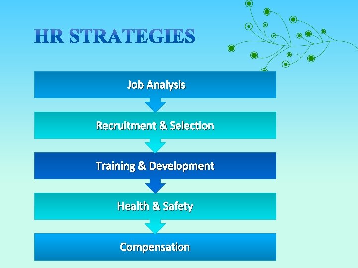 Job Analysis Recruitment & Selection Training & Development Health & Safety Compensation 