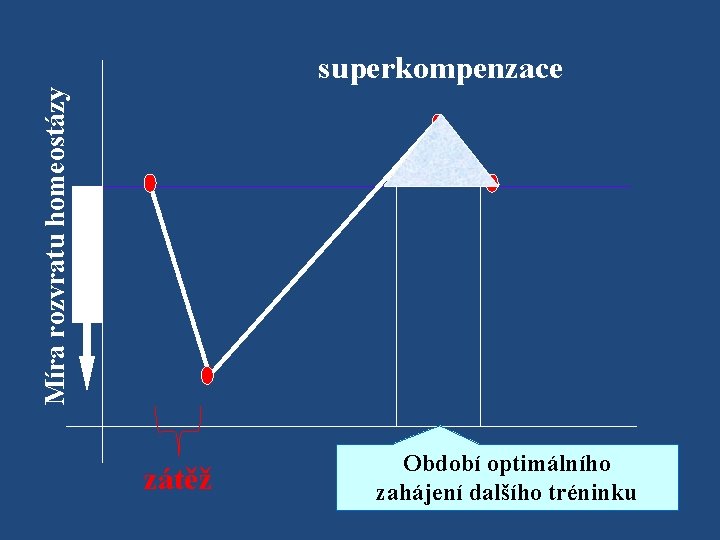 Míra rozvratu homeostázy superkompenzace zátěž Období optimálního zahájení dalšího tréninku 