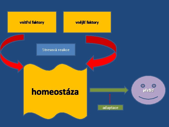 vnitřní faktory vnější faktory Stresová reakce homeostáza přežití adaptace 