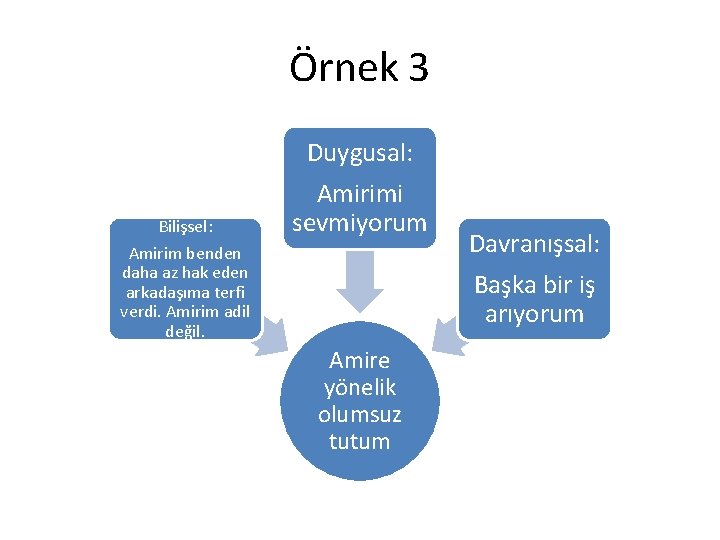 Örnek 3 Duygusal: Bilişsel: Amirimi sevmiyorum Amirim benden daha az hak eden arkadaşıma terfi