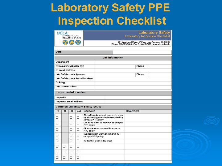 Laboratory Safety PPE Inspection Checklist 
