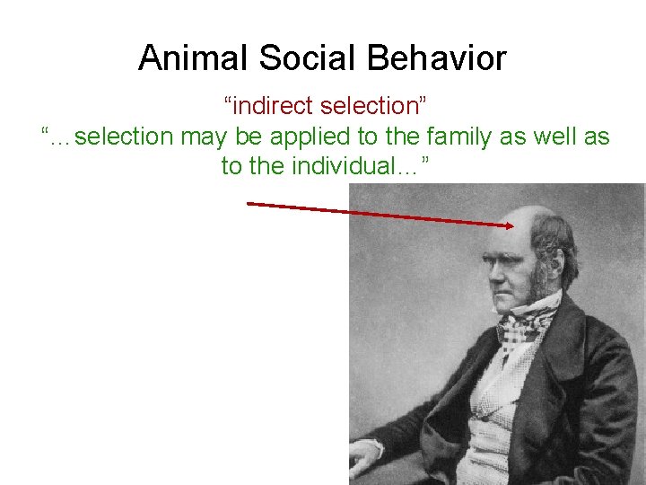 Animal Social Behavior “indirect selection” “…selection may be applied to the family as well