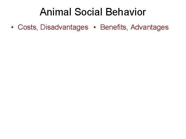 Animal Social Behavior • Costs, Disadvantages • Benefits, Advantages 