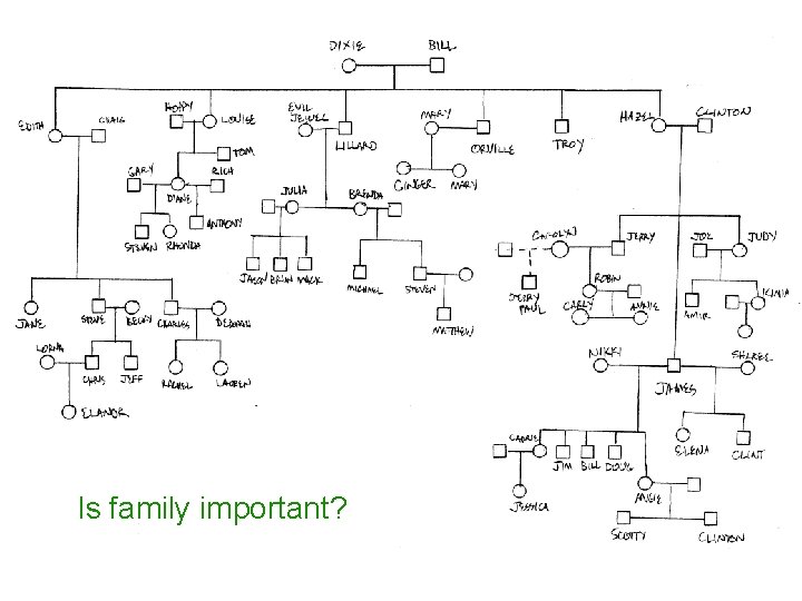 Is family important? 