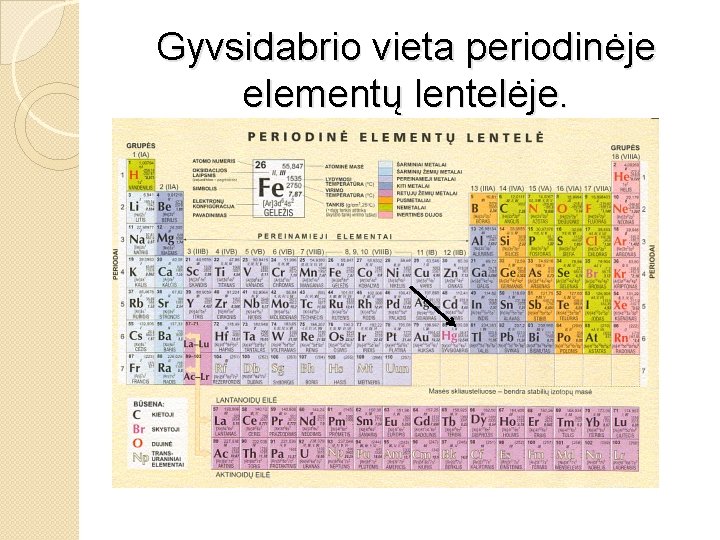 Gyvsidabrio vieta periodinėje elementų lentelėje. 