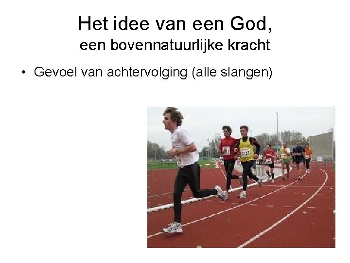 Het idee van een God, een bovennatuurlijke kracht • Gevoel van achtervolging (alle slangen)