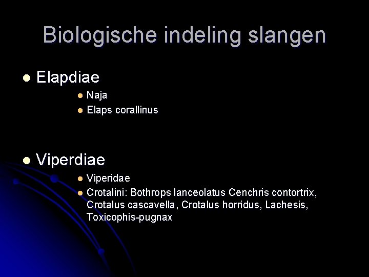 Biologische indeling slangen l Elapdiae Naja l Elaps corallinus l l Viperdiae Viperidae l