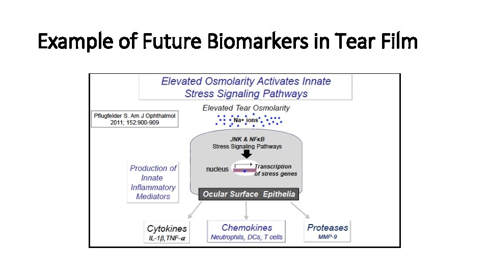 Example of Future Biomarkers in Tear Film Example of Future Biomarkers in Tear Film