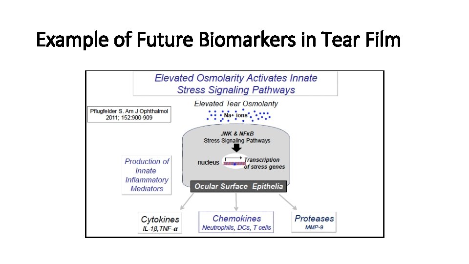 Example of Future Biomarkers in Tear Film 