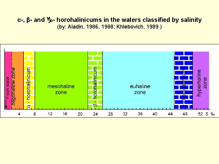 α-, β- and g- horohalinicums in the waters classified by salinity (by: Aladin, 1986,