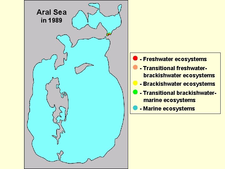 Aral Sea in 1989 - Freshwater ecosystems - Transitional freshwaterbrackishwater ecosystems - Brackishwater ecosystems