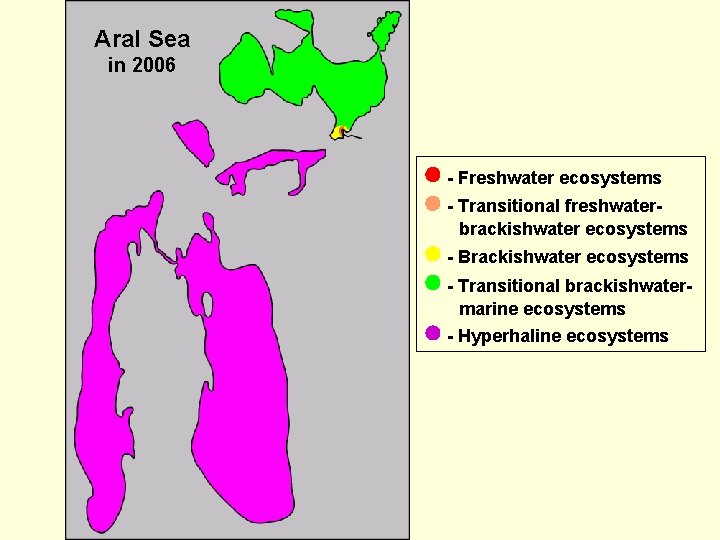 Aral Sea in 2006 - Freshwater ecosystems - Transitional freshwaterbrackishwater ecosystems - Brackishwater ecosystems