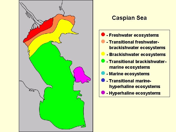 Caspian Sea - Freshwater ecosystems - Transitional freshwaterbrackishwater ecosystems - Brackishwater ecosystems - Transitional