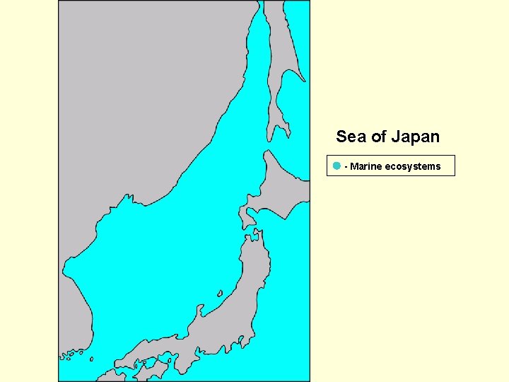 Sea of Japan - Marine ecosystems 