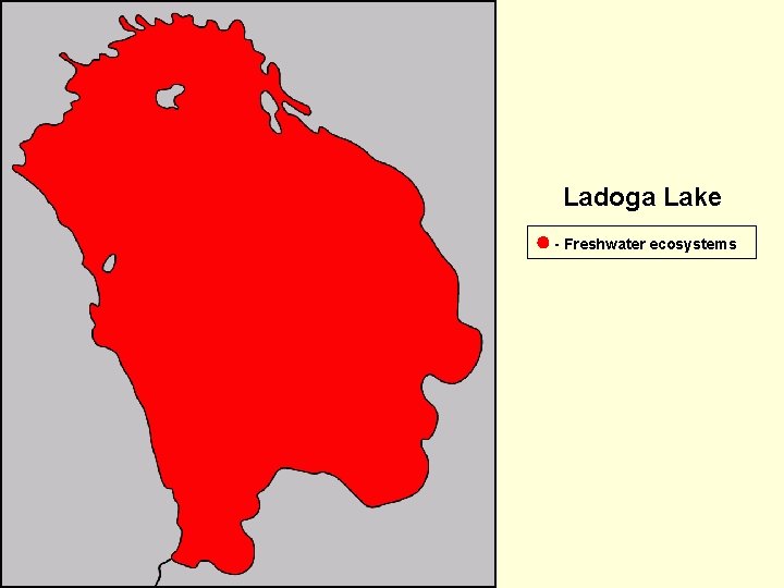 Ladoga Lake - Freshwater ecosystems 