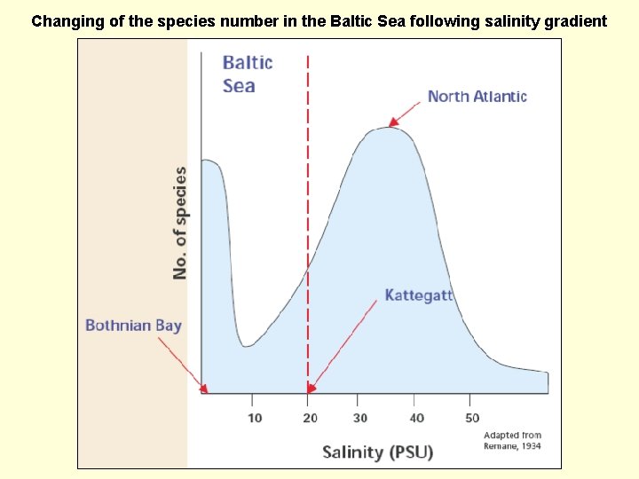 Changing of the species number in the Baltic Sea following salinity gradient 