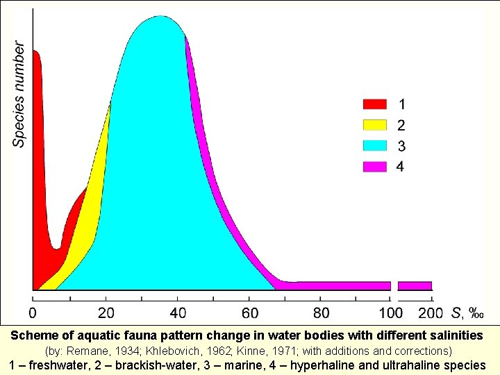 Scheme of aquatic fauna pattern change in water bodies with different salinities (by: Remane,