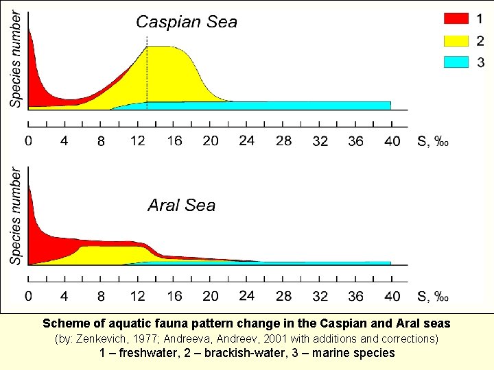 Scheme of aquatic fauna pattern change in the Caspian and Aral seas (by: Zenkevich,