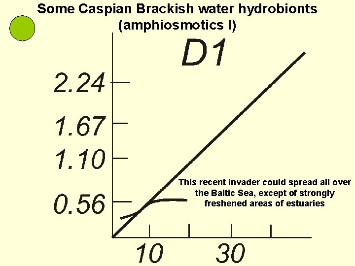 Some Caspian Brackish water hydrobionts (amphiosmotics I) This recent invader could spread all over