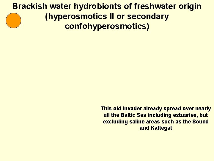 Brackish water hydrobionts of freshwater origin (hyperosmotics II or secondary confohyperosmotics) This old invader