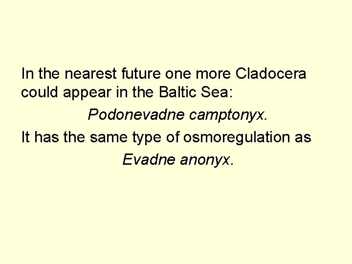 In the nearest future one more Cladocera could appear in the Baltic Sea: Podonevadne