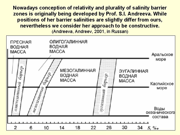 Nowadays conception of relativity and plurality of salinity barrier zones is originally being developed