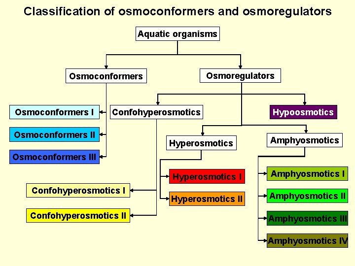 Classification of osmoconformers and osmoregulators Aquatic organisms Osmoregulators Osmoconformers I Confohyperosmotics Osmoconformers II Hyperosmotics