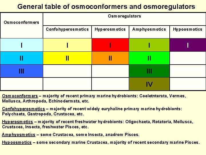 General table of osmoconformers and osmoregulators Osmoconformers Confohyperosmotics Hyperosmotics Amphyosmotics Hypoosmotics I I II