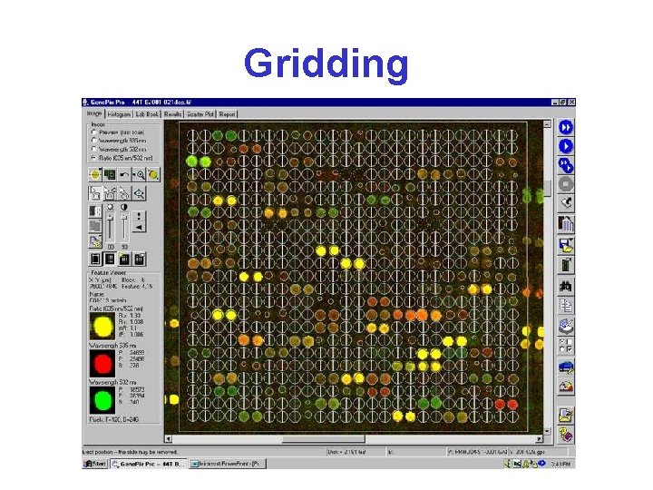 Gridding 