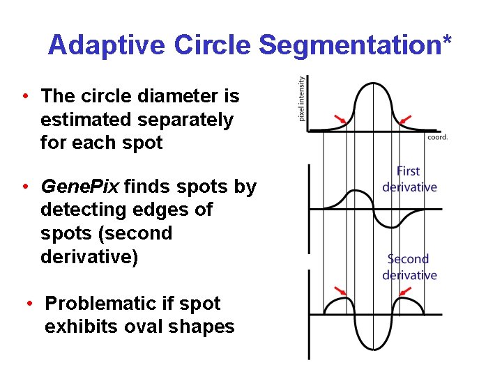 Adaptive Circle Segmentation* • The circle diameter is estimated separately for each spot •