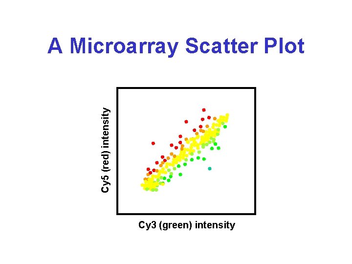 Cy 5 (red) intensity A Microarray Scatter Plot Cy 3 (green) intensity 