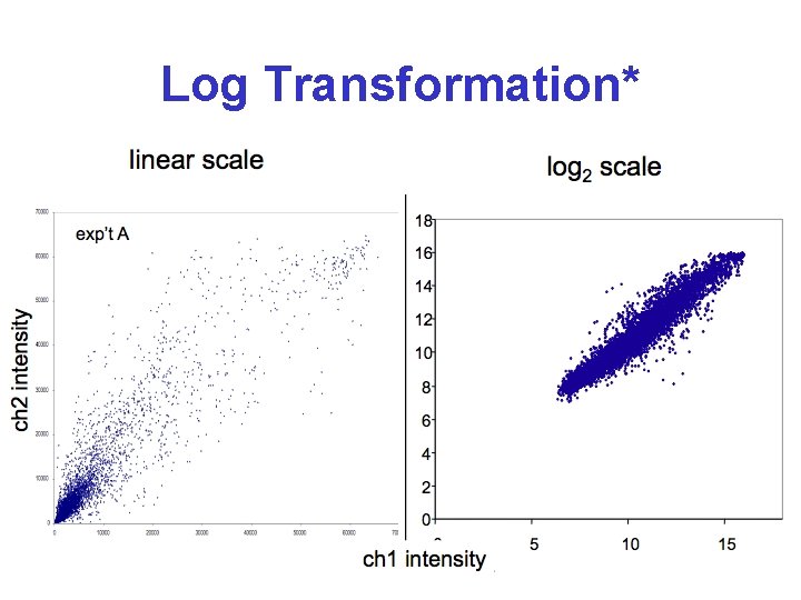 Log Transformation* 