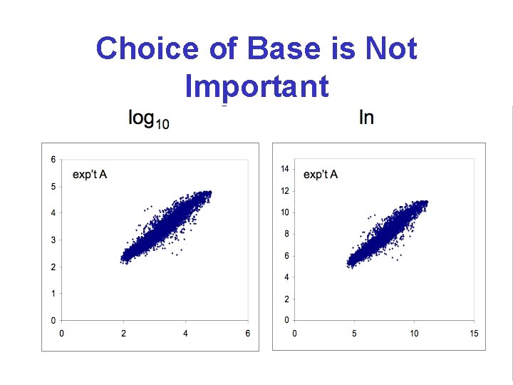 Choice of Base is Not Important 