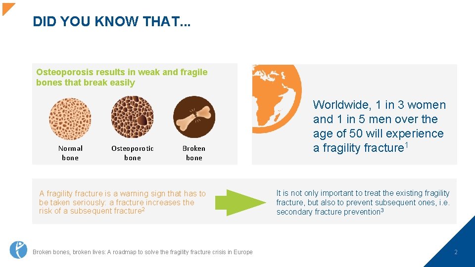 DID YOU KNOW THAT. . . Osteoporosis results in weak and fragile bones that